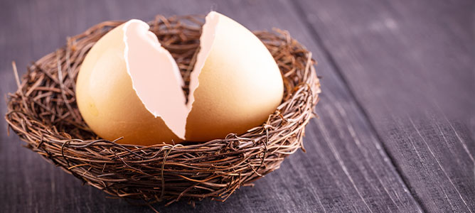 Cracked Nest Egg