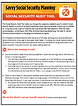 Savvy Social Security Audit Tool