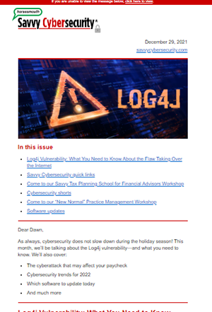 Savvy Cybersecurity Newsletter